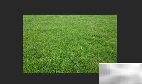 PSCS6光照按钮失效解决方法