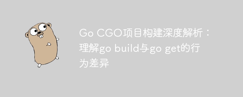 GoCGO项目构建详解：gobuild与goget区别全解析
