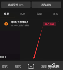 抖音特效链接受限怎么重置权限