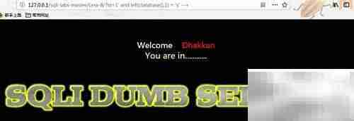 Burp Suite盲注技巧