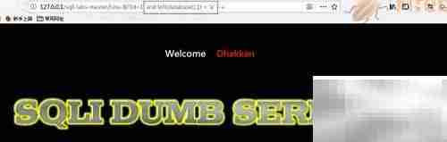 Burp Suite盲注技巧