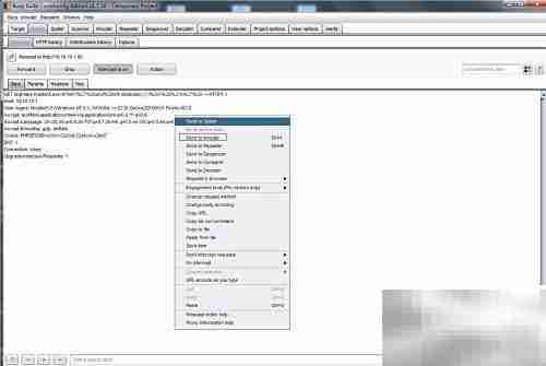 Burp Suite盲注技巧