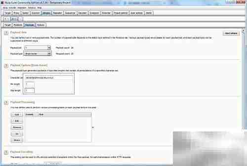 Burp Suite盲注技巧