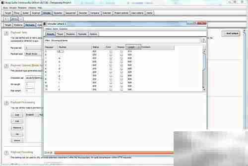 Burp Suite盲注技巧