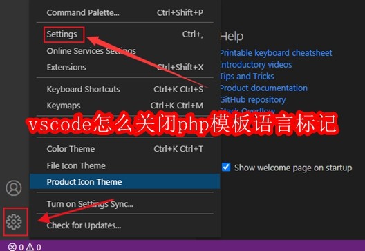 VSCode关闭PHP标签高亮方法