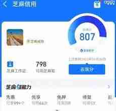 支付宝芝麻粒多久过期