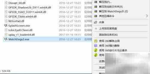 看门狗2提示forbidden kernel？