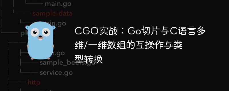 CGO实战：Go切片与C语言多维/一维数组的互操作与类型转换
