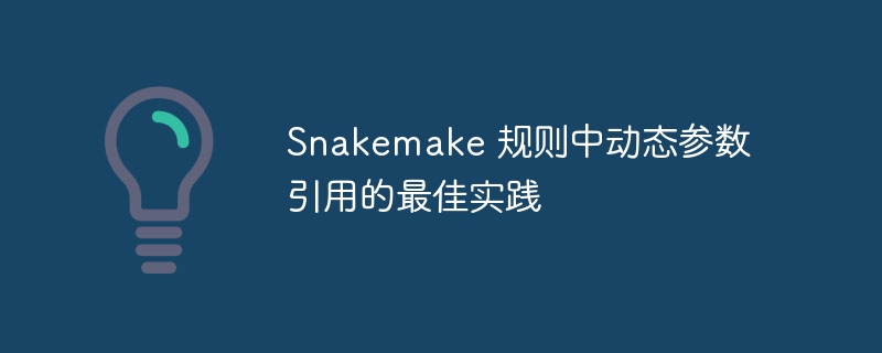 Snakemake动态参数引用方法详解