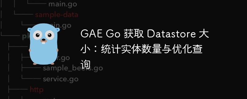 GAE Go 获取 Datastore 大小：统计实体数量与优化查询
