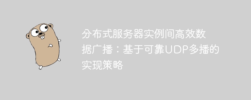 高效UDP多播方案解析：分布式服务器数据广播