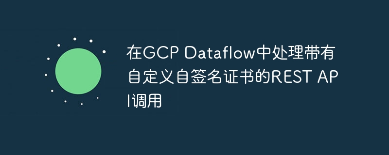 GCPDataflow调用自签名RESTAPI方法