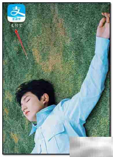 Apple Music退款申请指南