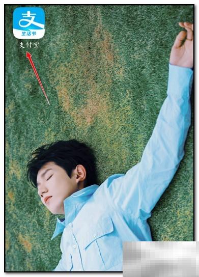 AppleMusic退款步骤详解