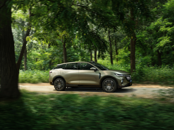 7月中国车市占全球34%增速达3个百分点