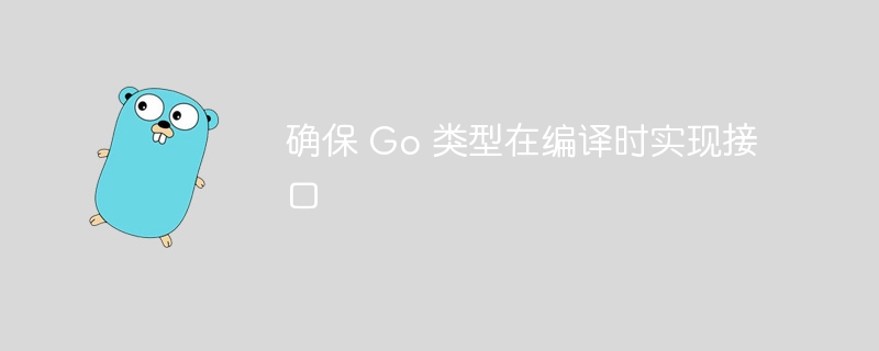 确保 Go 类型在编译时实现接口