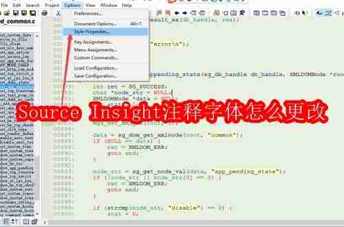 Source Insight注释字体怎么更改