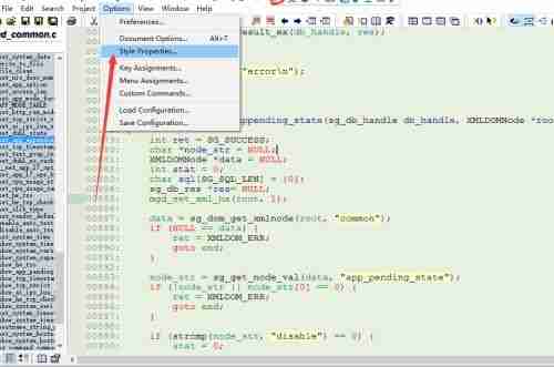 Source Insight注释字体怎么更改
