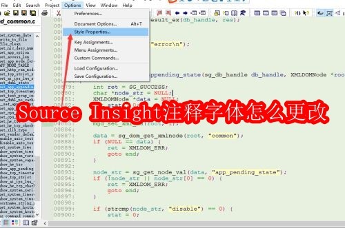SourceInsight修改注释字体方法