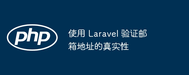 使用 Laravel 验证邮箱地址的真实性