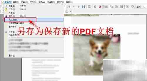 Foxit替换PDF图片教程
