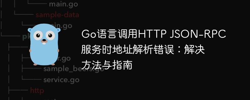 Go语言调用HTTP JSON-RPC服务时地址解析错误：解决方法与指南