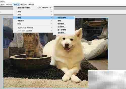 Fireworks图片放射模糊技巧