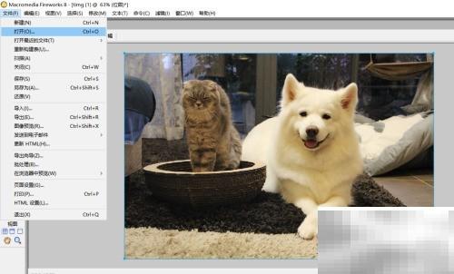 Fireworks图片模糊效果技巧分享