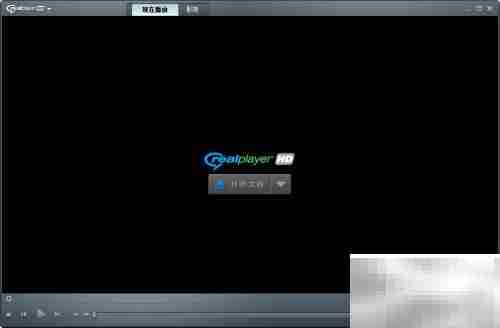 RealPlayer安装使用指南
