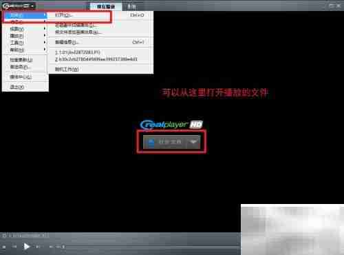 RealPlayer安装使用指南