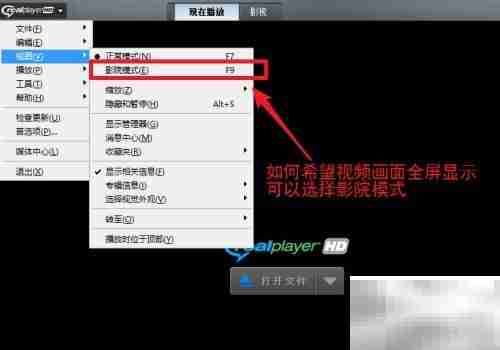 RealPlayer安装使用指南