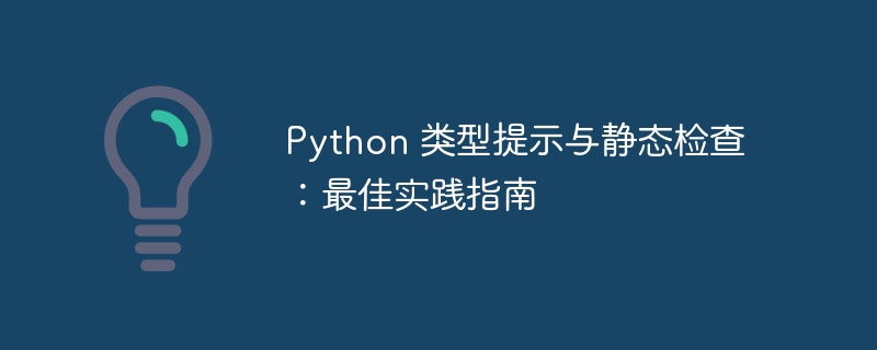Python类型提示与静态检查技巧
