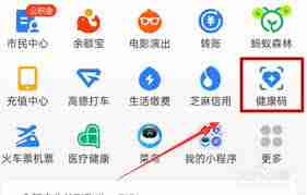 支付宝如何解绑家庭电子健康卡
