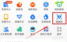支付宝解绑电子健康卡步骤