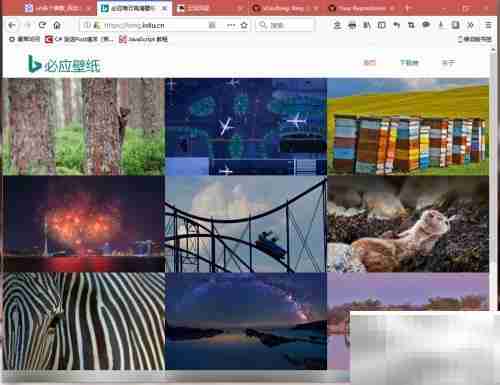 Bing壁纸API使用指南