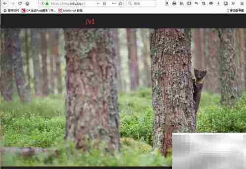 Bing壁纸API使用指南