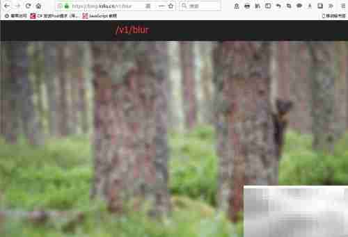 Bing壁纸API使用指南