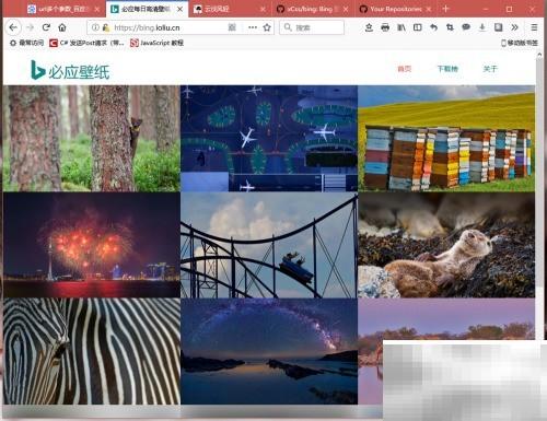 Bing壁纸API使用教程与方法