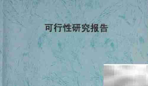 立项报告写作范本指南