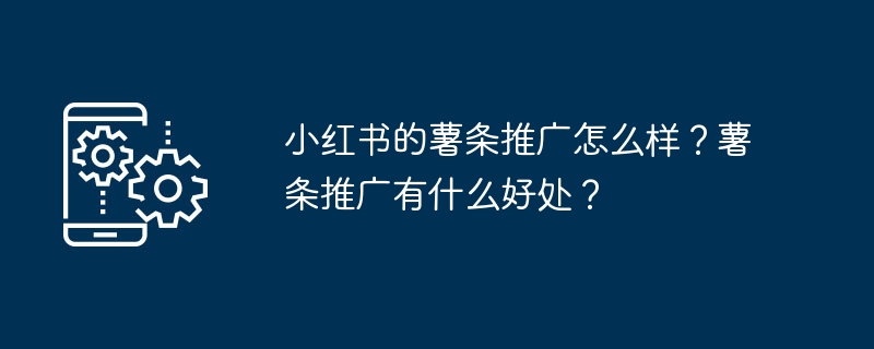 小红书的薯条推广怎么样？薯条推广有什么好处？