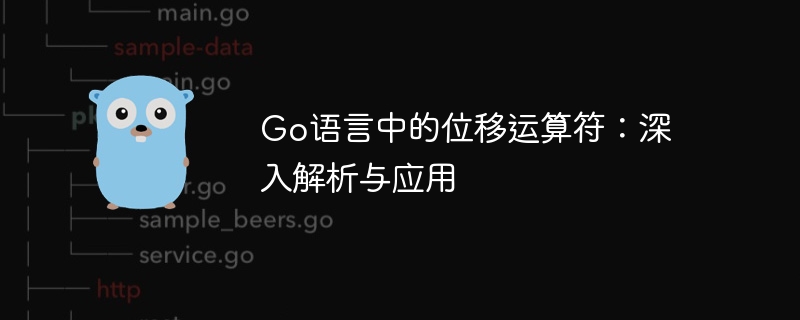 Go语言位移运算符使用教程