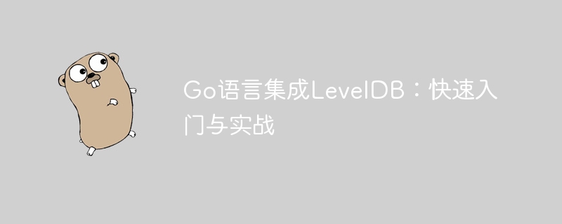 Go语言集成LevelDB：快速入门与实战
