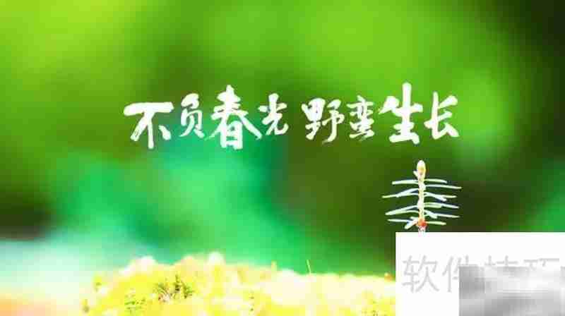 不负春光,邂逅最美时光