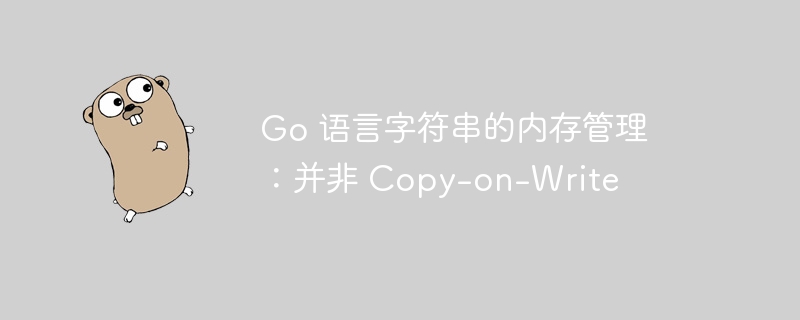 Go 语言字符串的内存管理：并非 Copy-on-Write