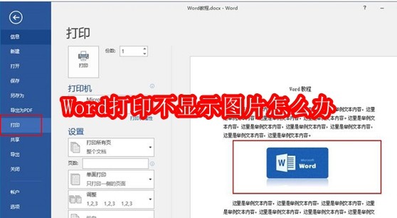 Word图片无法显示的解决方法