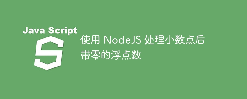 使用 NodeJS 处理小数点后带零的浮点数