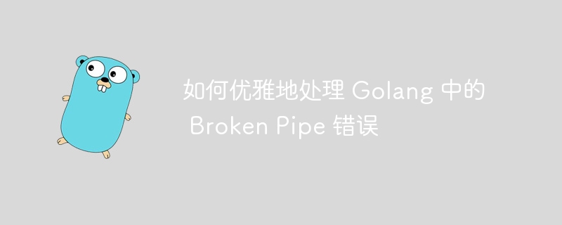 如何优雅地处理 Golang 中的 Broken Pipe 错误