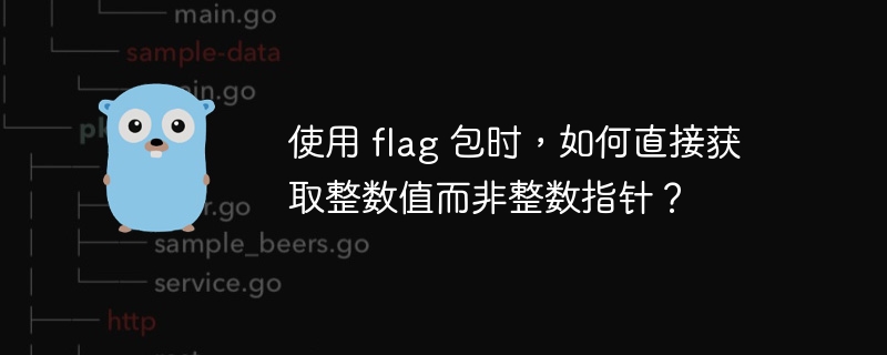 使用flag包获取整数的正确方式