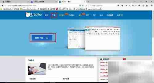UEditor配置使用指南