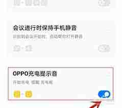 oppo充电提示音怎么取消